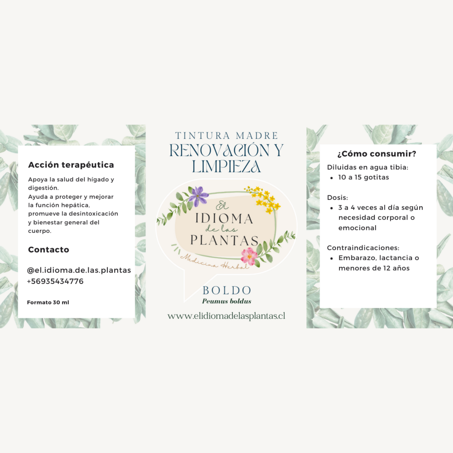 Tintura madre Boldo - Renovación y limpieza