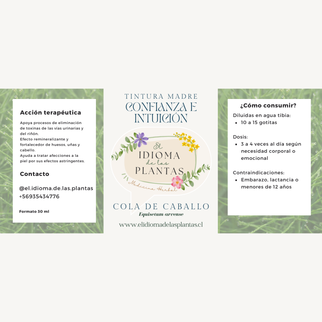 Tintura Madre de Cola de Caballo – Confianza e Intuición