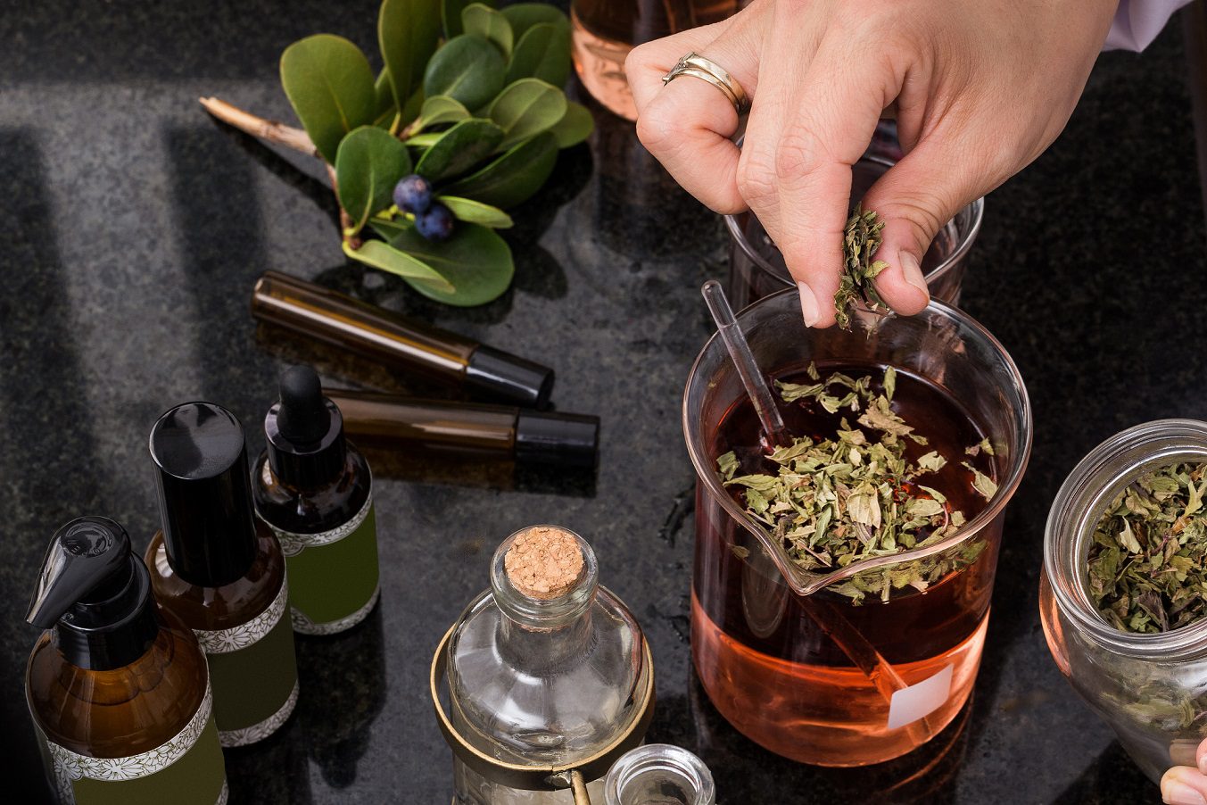 Sesión Fitoterapia Integral – Sanación a través de las Plantas Medicinales