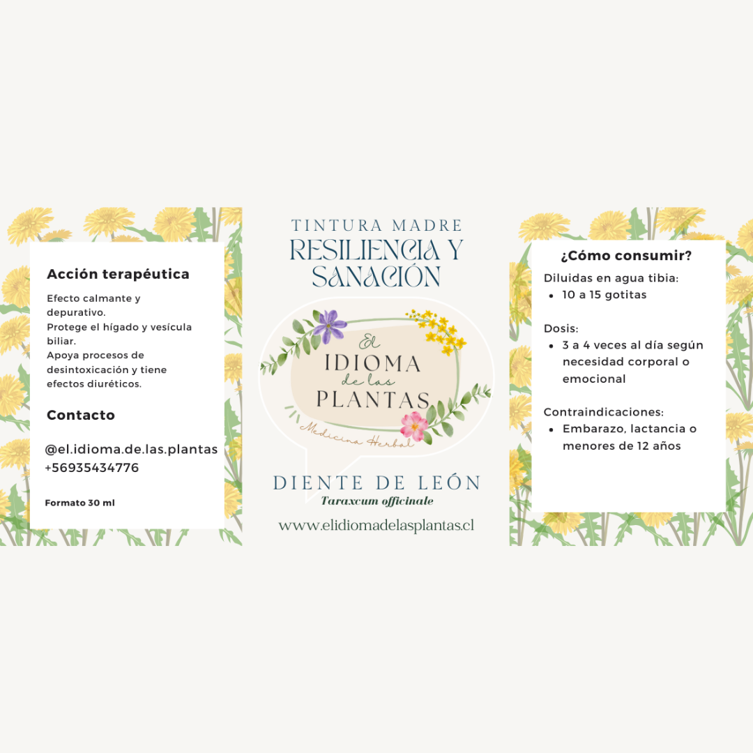 Pack Detox - Tintura madre