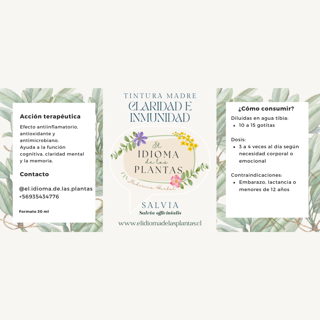 Tintura madre Salvia - Claridad e inmunidad