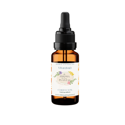 Doble Extracto de Cordyceps militaris – Vitalidad